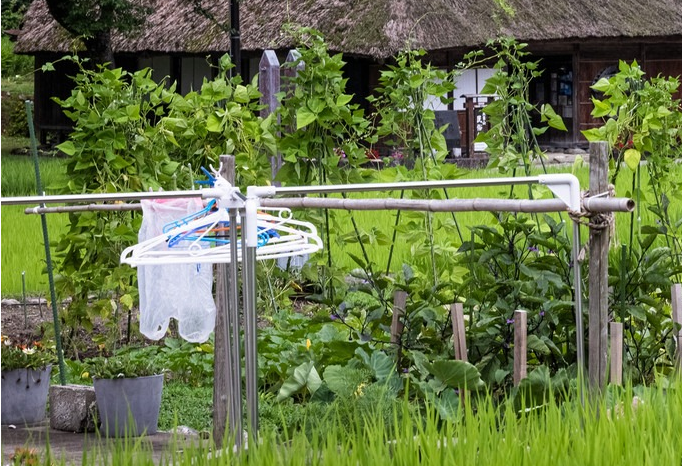 Gifu man arrested for entering other person’s home and hanging women’s underwear to dry