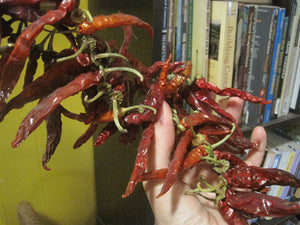 6 Methods for Preserving Food Without Freezing or Canning