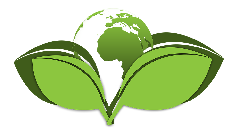 Top Tips To Have An Eco-friendly And Sustainable Cleaning Routine