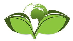 Top Tips To Have An Eco-friendly And Sustainable Cleaning Routine