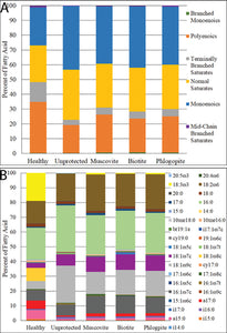 Phyllosilicates as protective habitats of filamentous cyanobacteria Leptolyngbya against ultraviolet radiation