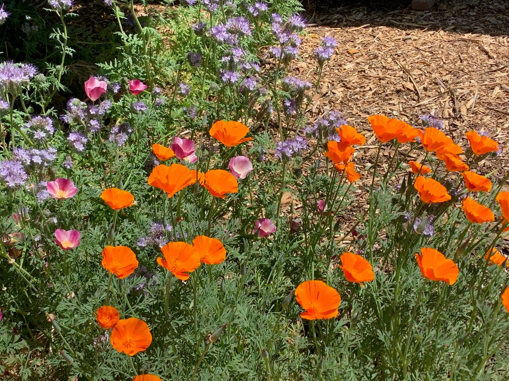 Things that made me happy this weekend