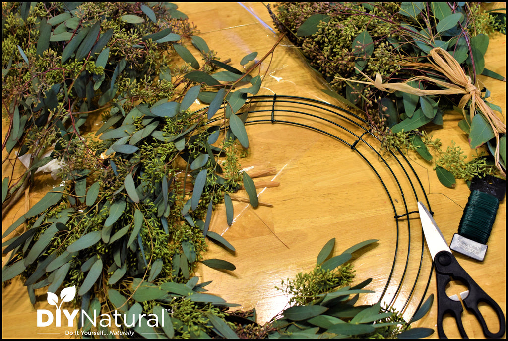 Simple Tutorial for a Fresh DIY Eucalyptus Wreath