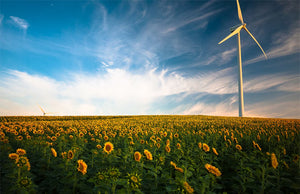 Simple Ways for You to Save on Your Energy Bills