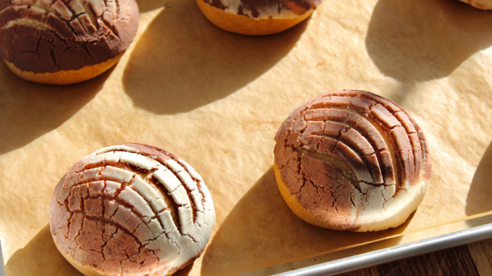 Neapolitan Concha Recipe