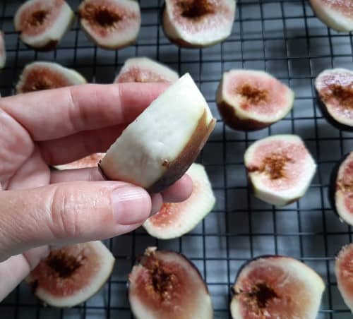 Drying Fresh Figs in the Oven