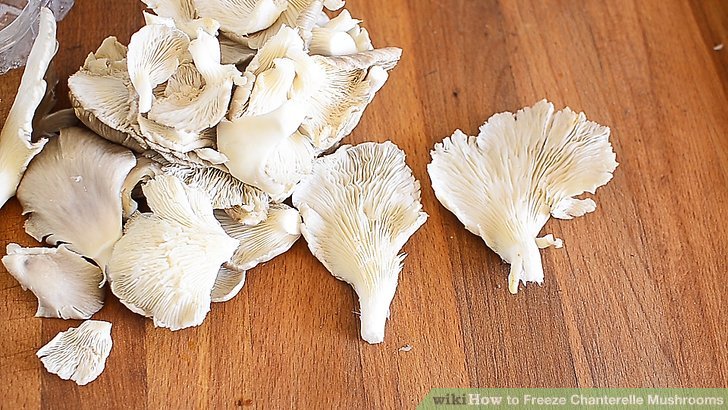 How to Freeze Chanterelle Mushrooms