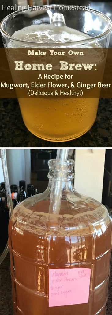 Herbal Ale: How to Make Mugwort, Elderflower, and Ginger Ale (THIS is THE Best Beer We’ve Ever Had in Our Lives!)